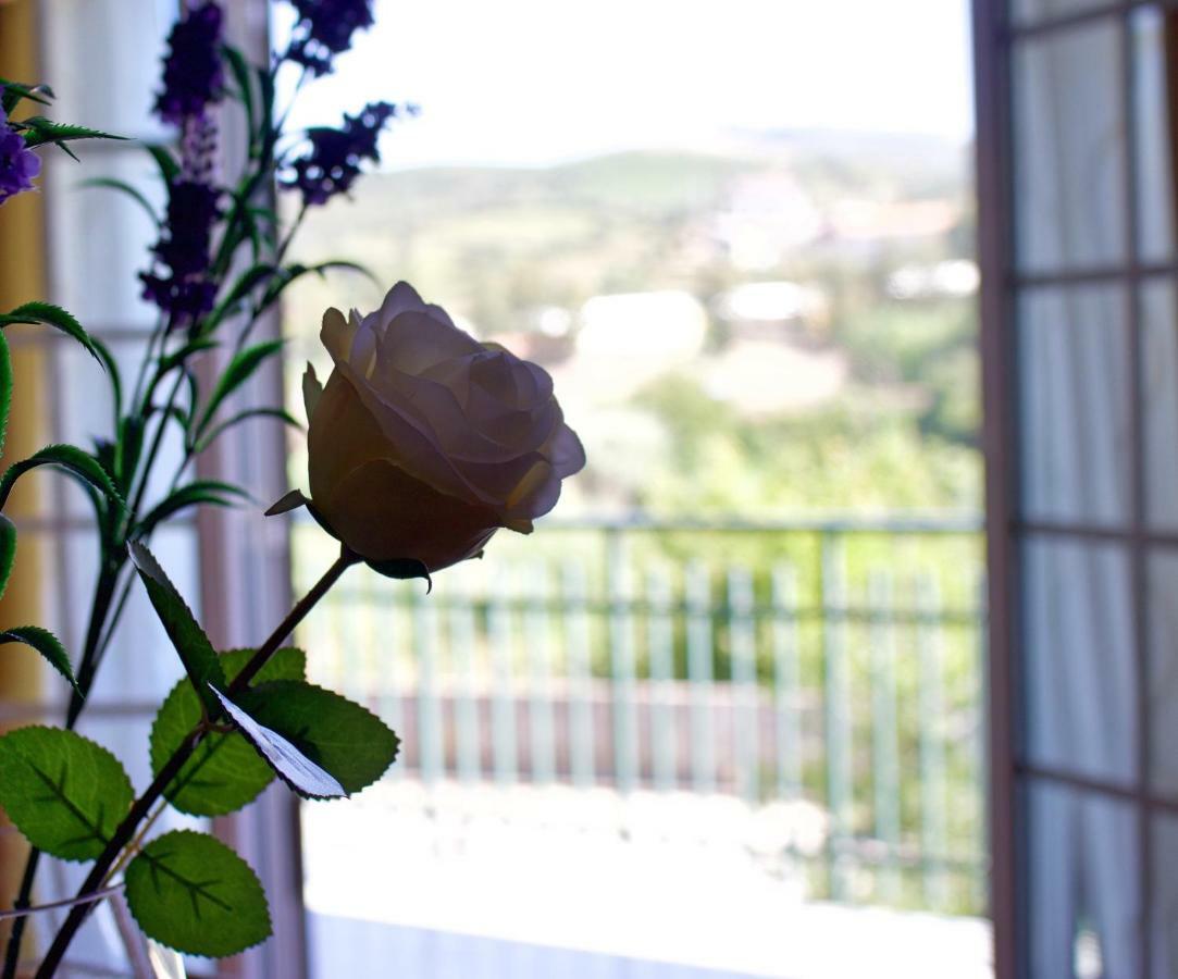 Casa Do Olival Otel Peso da Régua Dış mekan fotoğraf